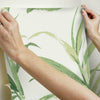 Fern Forest Wall Mural Wall Mural York   