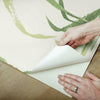 Fern Forest Wall Mural Wall Mural York   