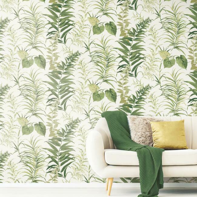 Fern Forest Wall Mural Wall Mural York   