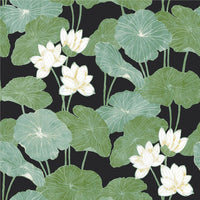 Lily Pad Peel and Stick Wallpaper Peel and Stick Wallpaper RoomMates Roll Black 