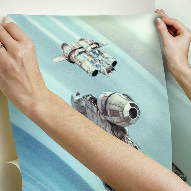 Star Wars Rise of Skywalker Wall Mural Wall Mural RoomMates   