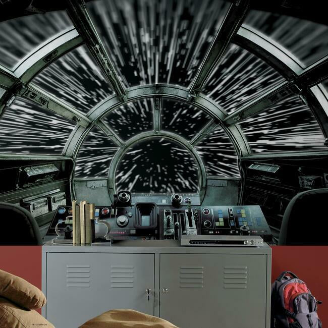 Star Wars Millenium Peel and Stick Wall Mural Wall Mural RoomMates   