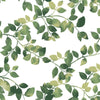 Finlayson Latvus Peel and Stick Wallpaper Peel and Stick Wallpaper RoomMates Roll Green 