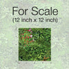 Living Wall Peel and Stick Wallpaper Peel and Stick Wallpaper RoomMates   