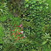 Living Wall Peel and Stick Wallpaper Peel and Stick Wallpaper RoomMates Roll  