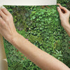 Living Wall Peel and Stick Wallpaper Peel and Stick Wallpaper RoomMates   