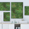 Living Wall Peel and Stick Wallpaper Peel and Stick Wallpaper RoomMates   
