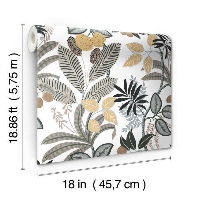 Funky Jungle Peel and Stick Wallpaper Peel and Stick Wallpaper RoomMates   