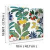 Funky Jungle Peel and Stick Wallpaper Peel and Stick Wallpaper RoomMates   