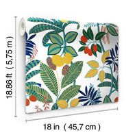 Funky Jungle Peel and Stick Wallpaper Peel and Stick Wallpaper RoomMates   