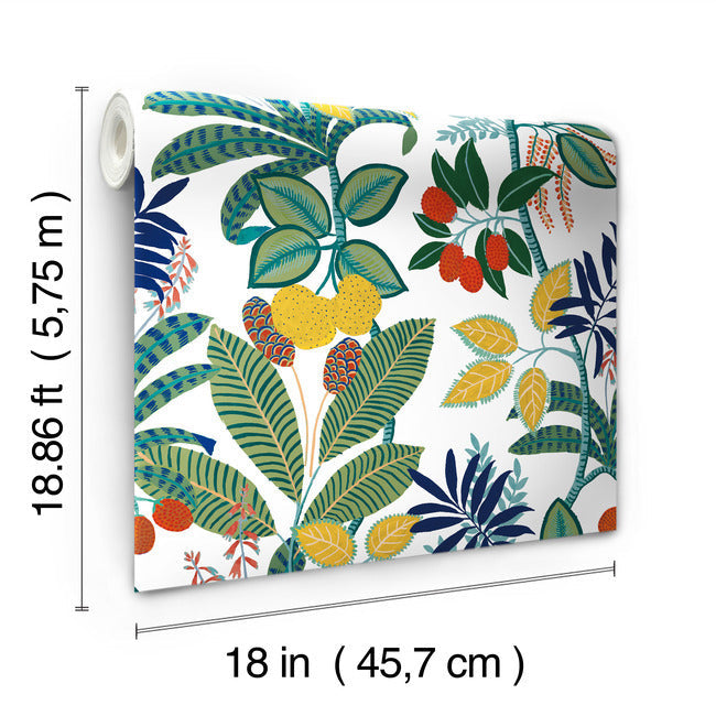 Funky Jungle Peel and Stick Wallpaper Peel and Stick Wallpaper RoomMates   