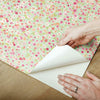 Petite Floral Peel and Stick Wallpaper Peel and Stick Wallpaper RoomMates   