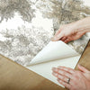 Old World Trees Peel and Stick Wallpaper Peel and Stick Wallpaper RoomMates   