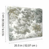 Old World Trees Peel and Stick Wallpaper Peel and Stick Wallpaper RoomMates   