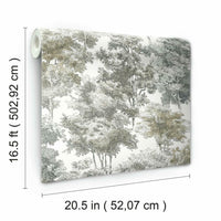 Old World Trees Peel and Stick Wallpaper Peel and Stick Wallpaper RoomMates   