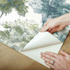 Old World Trees Peel and Stick Wallpaper Peel and Stick Wallpaper RoomMates   