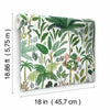 Tropical Eden Peel and Stick Wallpaper Peel and Stick Wallpaper RoomMates   