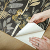 Tropical Eden Peel and Stick Wallpaper Peel and Stick Wallpaper RoomMates   