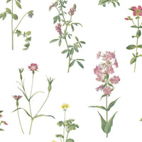 Botanical Peel and Stick Wallpaper Peel and Stick Wallpaper RoomMates Roll Green 