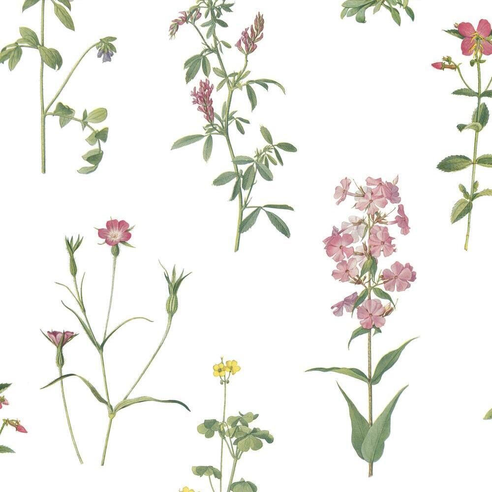 Botanical Peel and Stick Wallpaper Peel and Stick Wallpaper RoomMates Roll Green 