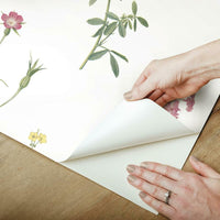 Botanical Peel and Stick Wallpaper Peel and Stick Wallpaper RoomMates   