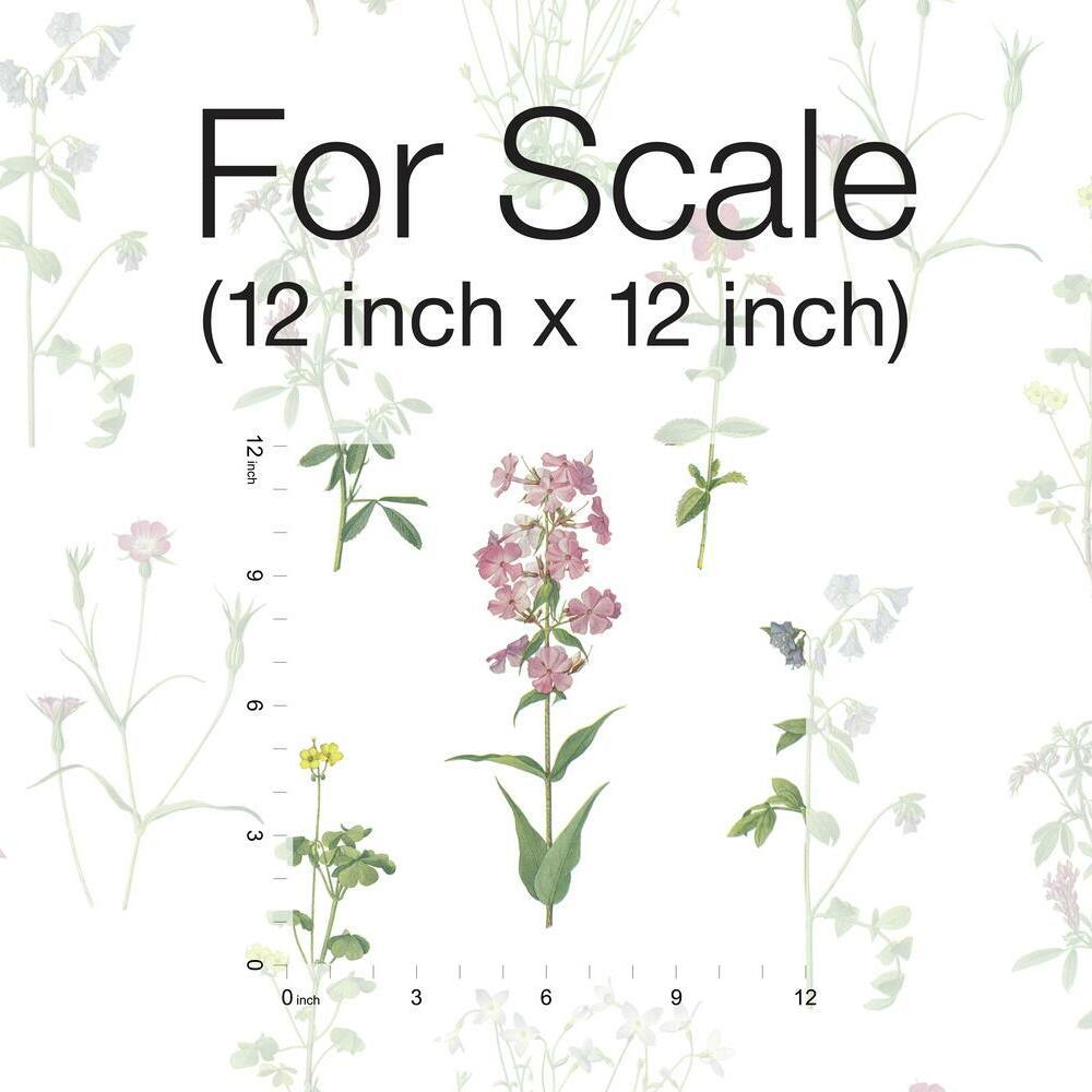 Botanical Peel and Stick Wallpaper Peel and Stick Wallpaper RoomMates   