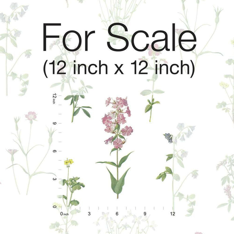 Botanical Peel and Stick Wallpaper Peel and Stick Wallpaper RoomMates   