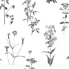 Botanical Peel and Stick Wallpaper Peel and Stick Wallpaper RoomMates Roll White 
