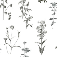 Botanical Peel and Stick Wallpaper Peel and Stick Wallpaper RoomMates Roll White 