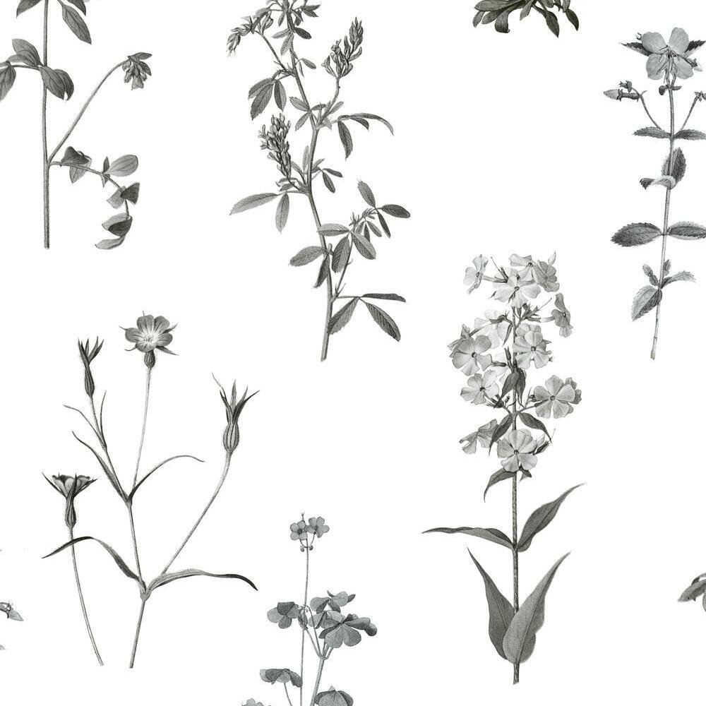 Botanical Peel and Stick Wallpaper Peel and Stick Wallpaper RoomMates Roll White 