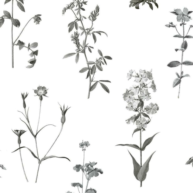 Botanical Peel and Stick Wallpaper Peel and Stick Wallpaper RoomMates Roll White 