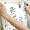 Botanical Peel and Stick Wallpaper Peel and Stick Wallpaper RoomMates   