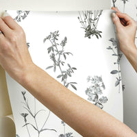 Botanical Peel and Stick Wallpaper Peel and Stick Wallpaper RoomMates   