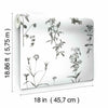 Botanical Peel and Stick Wallpaper Peel and Stick Wallpaper RoomMates   