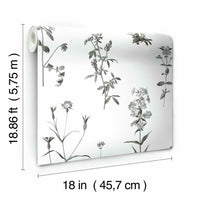 Botanical Peel and Stick Wallpaper Peel and Stick Wallpaper RoomMates   