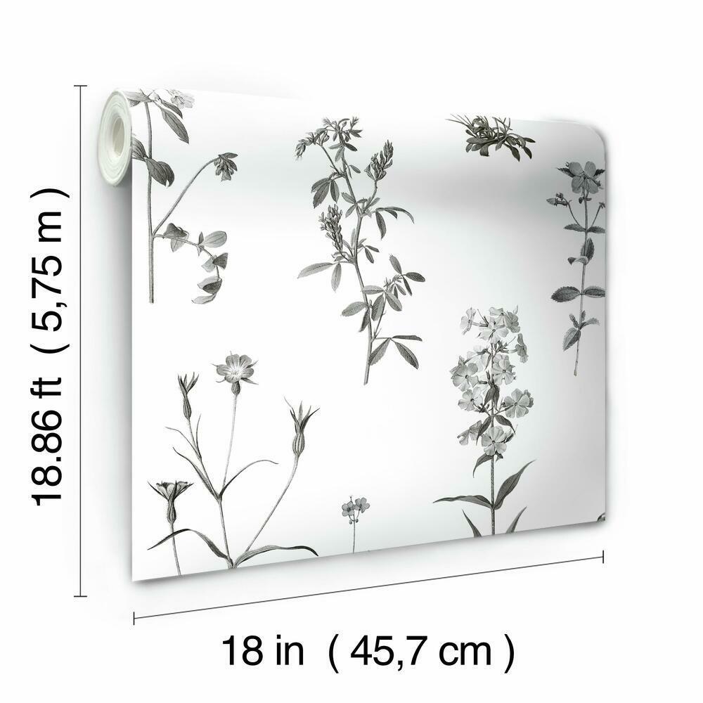 Botanical Peel and Stick Wallpaper Peel and Stick Wallpaper RoomMates   