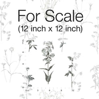 Botanical Peel and Stick Wallpaper Peel and Stick Wallpaper RoomMates   