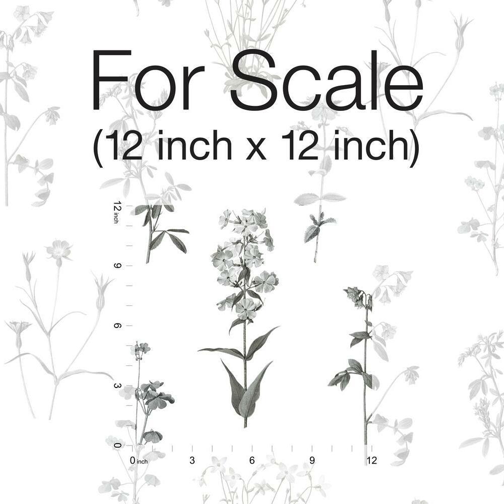Botanical Peel and Stick Wallpaper Peel and Stick Wallpaper RoomMates   