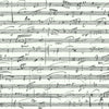 Melody Peel and Stick Wallpaper Peel and Stick Wallpaper RoomMates Roll White 