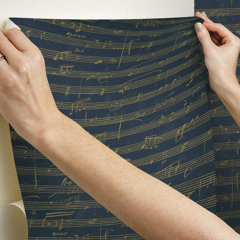 Melody Peel and Stick Wallpaper Peel and Stick Wallpaper RoomMates   