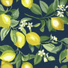 Lemon Zest Peel and Stick Wallpaper Peel and Stick Wallpaper RoomMates Roll Navy 