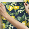 Lemon Zest Peel and Stick Wallpaper Peel and Stick Wallpaper RoomMates   