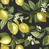 Lemon Zest Peel and Stick Wallpaper Peel and Stick Wallpaper RoomMates Roll Black 