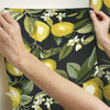 Lemon Zest Peel and Stick Wallpaper Peel and Stick Wallpaper RoomMates   