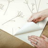 Twigs Peel and Stick Wallpaper Peel and Stick Wallpaper RoomMates   