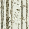 Trees Peel and Stick Wallpaper Peel and Stick Wallpaper RoomMates Roll Brown 
