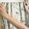 Trees Peel and Stick Wallpaper Peel and Stick Wallpaper RoomMates   