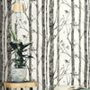Trees Peel and Stick Wallpaper Peel and Stick Wallpaper RoomMates   