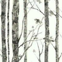Trees Peel and Stick Wallpaper Peel and Stick Wallpaper RoomMates Roll Grey 
