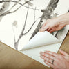 Trees Peel and Stick Wallpaper Peel and Stick Wallpaper RoomMates   
